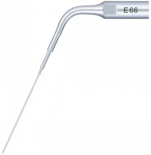 Woodpecker Tip E66 (EMS)